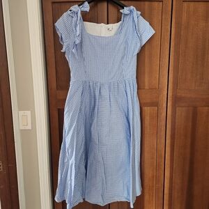 Blue Gingham Dress